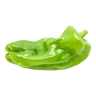 皱皮椒种子薄皮虎皮辣椒麻辣椒种籽中辣四季种植盆栽籽种蔬菜孑