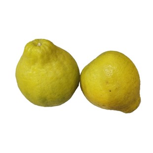 香柚沙田柚去味柚子皮新车新房祛味除甲醛除异味臭味10斤包邮