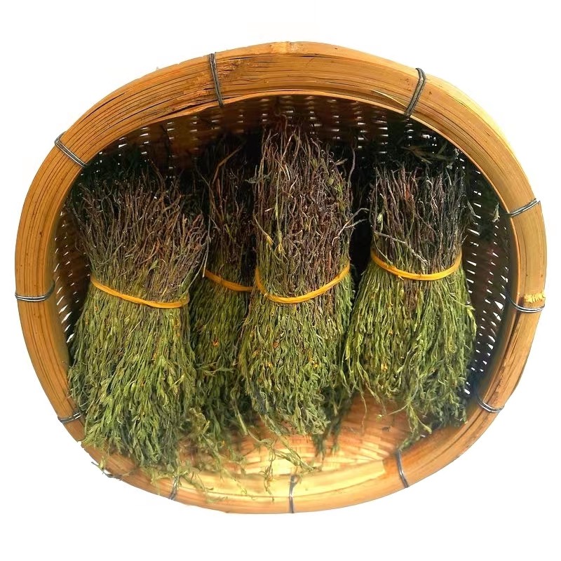 野生独脚金干疳积草煲汤泡茶