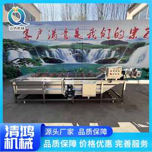 商用鼓泡喷淋蔬菜清洗机 苹果酱加工流水线 荔枝肉草莓清洗设备