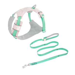 ZOOLAND狗狗胸背牵引绳子遛幼小中大型犬泰迪柯基比熊边牧博美用
