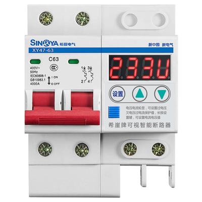 防雷电闸希崖63a小型断路器