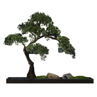 妖及 新中式苔藓干花造景艺术装置 样板间酒店餐厅玄关会所摆件