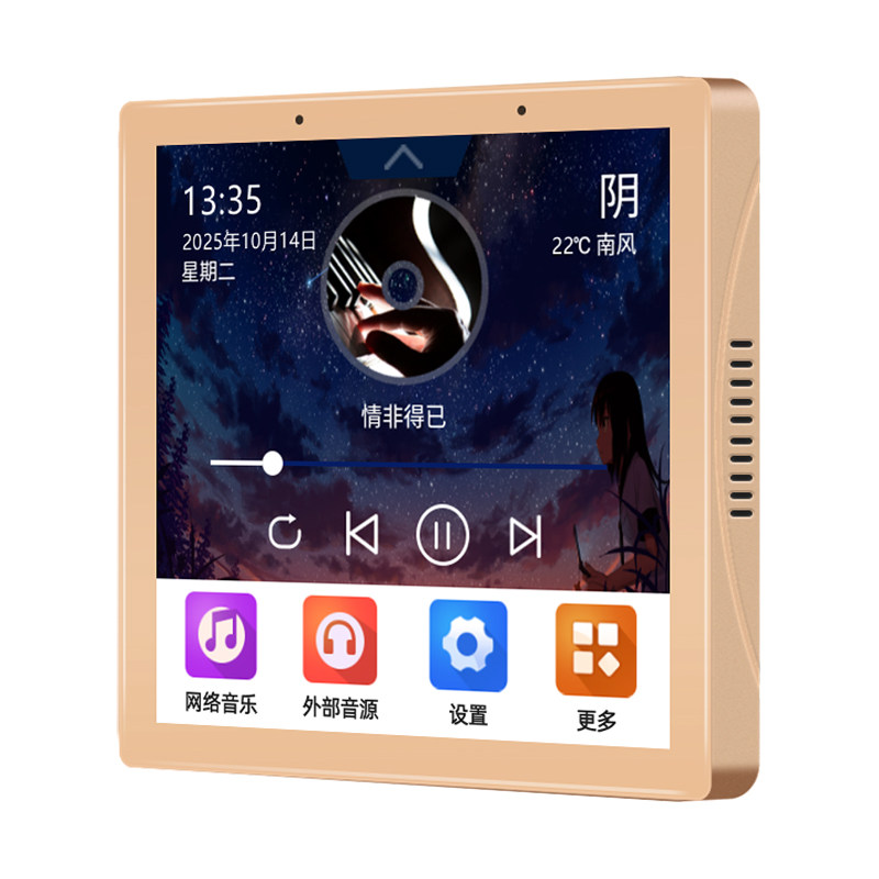 语控智能背景音乐主机吸顶音响