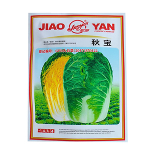 胶研秋宝白菜种子黄芯筒形结球紧实抗病产量稳定一致性高白菜种子