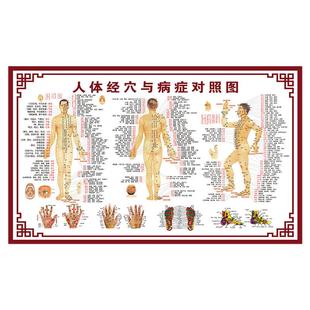 人体经络穴位标准大图中医养生馆高清海报墙贴挂画十二经络挂图