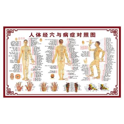 人体经络穴位标准大图高清海报