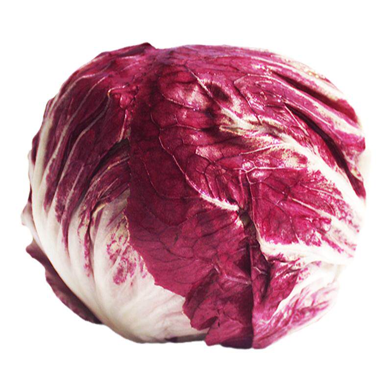 新鲜沙拉菜 落地球生菜 紫苣 其它