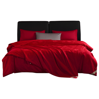 结婚婚庆桑蚕丝被大红色被芯