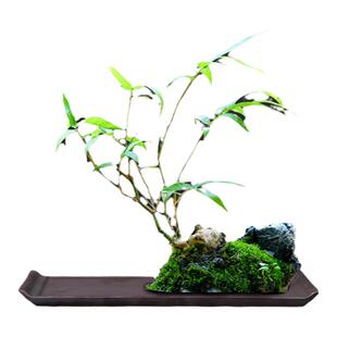 精品圆形盆器盆景盆长方形金弹子菖蒲假山山石上水石水培紫砂陶瓷