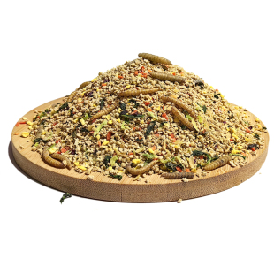 芦丁鸡专用饲料成年产蛋下蛋宠物小卢丁鸡粮食育雏开口料食物蔬菜