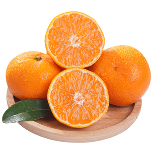 正宗临海涌泉蜜桔橘子新鲜水果10当季浙江黄岩密桔子旗舰店顺丰斤