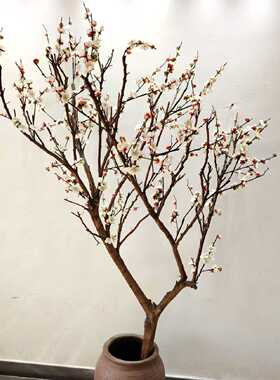 仿真白色腊梅干花花束制作花艺摆件客厅插花装饰墙面橱窗花瓶花树