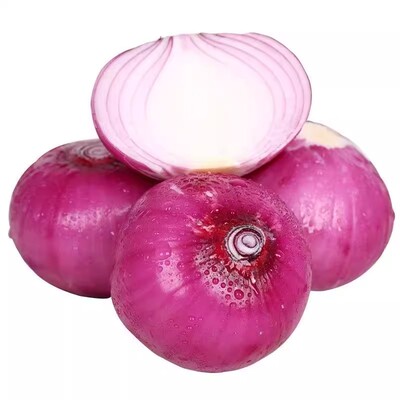 水果洋葱甜味生吃新鲜紫皮洋葱洋葱头小圆葱毛葱红洋葱大洋葱