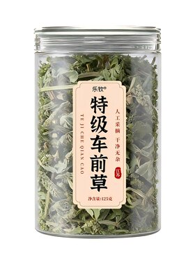 特级车前草干货官方旗舰店泡水喝的功效与作用新鲜中药材正品金线