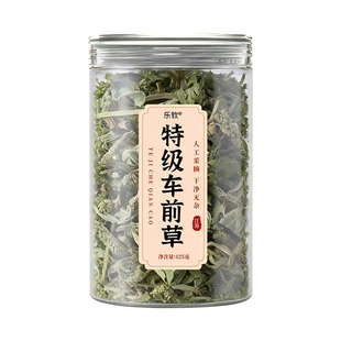 特级车前草干货官方旗舰店泡水喝的功效与作用新鲜中药材正品金线