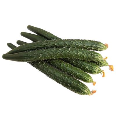 现摘现发新鲜采摘直供新鲜黄瓜