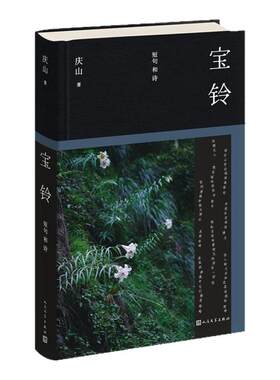 当当网 宝铃 庆山新书2025全新作品安妮宝贝shou部短句诗歌集语言珠玉文学 清冽的内在/心的千问/一次旅行/散文随笔现当代文学小说