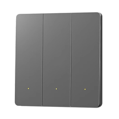 Mesh2.0版智能开关面板国际电工