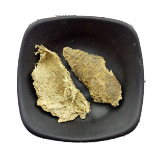 椿根皮中药材店铺臭椿树根皮500g包邮椿白皮香椿树皮春根皮中草药