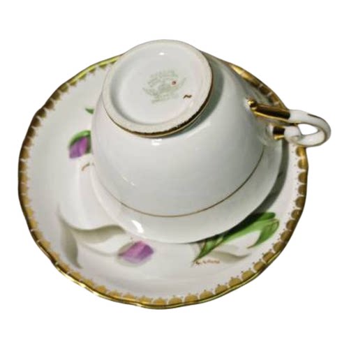 西洋古董 tuscan 手绘大花苞郁金香 双签名阔口骨瓷咖啡杯碟 现货