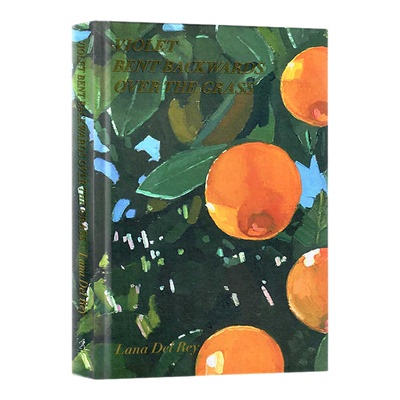 打雷姐诗集拉娜德雷英文原版