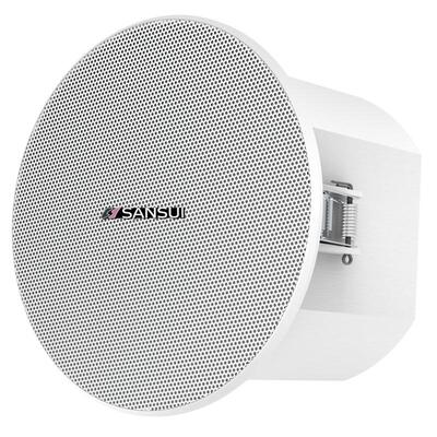 山水T85吸顶广播套装