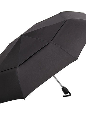 雨景雨伞男士全自动双人伞大号