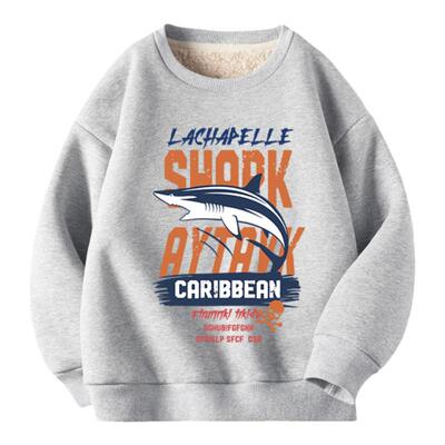 男大童秋冬款羊羔绒加厚上衣卫衣