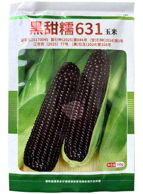 黑甜糯631又甜又糯高产好吃