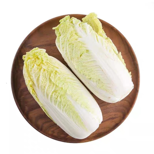 5斤云南高山娃娃菜新鲜现砍脆嫩小白菜黄心娃娃菜高原露天蔬菜