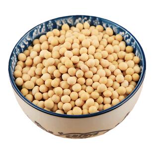 农家自种自晒食用小黄豆磨豆浆做豆腐干货干豆子炒黄豆商用500g