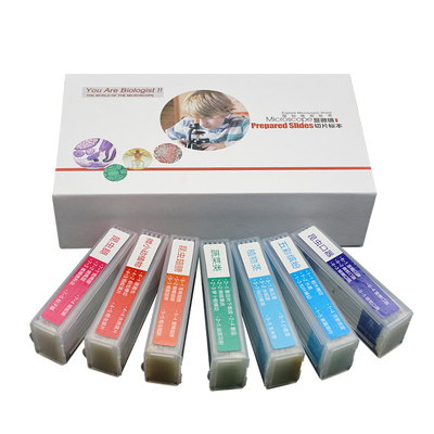 显微镜教学植物细胞标本切片