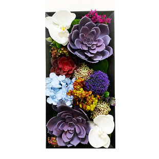 仿真多肉植物花组合相框 墙饰壁饰墙上装饰品客厅绿植背景墙壁挂