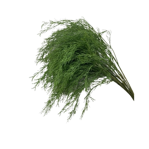 新款婚庆仿真绿植花材吊顶花婚礼插花花艺芦荀草绢花绿叶假花布置