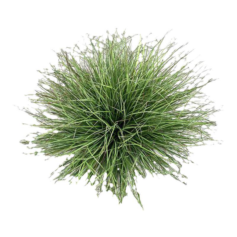 仿真草丛 芦苇丛假草草堆摆件工程景观地面植物杂草造景装饰草