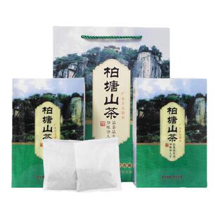 柏塘山茶茶包春季惠州博罗广东十大名茶手工炒青绿茶罗浮特产茶叶