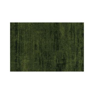 中古风入户门地垫高级感室内玄关耐脏免洗脚垫进门口加厚防滑地毯