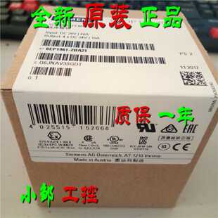 议价6EP1961-2BA21 SITOP PSE200U 10A电源模块6EP1 961 6EP19612