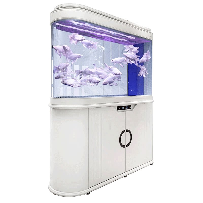 森森子弹头屏风大型水族箱生态