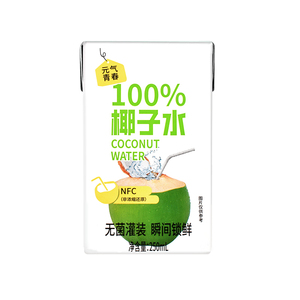 NFC正宗海南椰子水0脂0添加果汁饮料非浓缩还原清爽解渴厂家直售