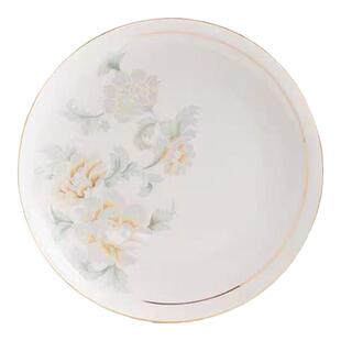 2026新款菜盘家用景德镇陶瓷中国风餐具碟子饭盘汤盘深盘水果盘