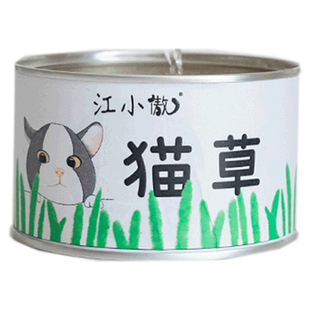 猫草种子盆栽无土水培有机猫草盒罐头猫薄荷草懒人盆栽猫咪零食