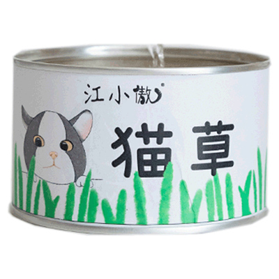 江小傲猫草盆栽无土水培猫咪化毛