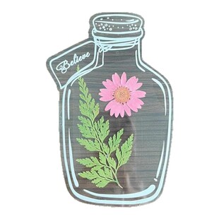 春天收集标本塑封膜压花树叶小学生自制春天的花瓣带孩子一起寻找瓶子里的春天贴纸书签手工自制花朵书签瓶子