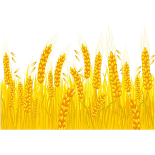 盛大开业大麦贴纸秋季上新玻璃贴橱窗贴店铺氛围装饰麦穗墙面装饰
