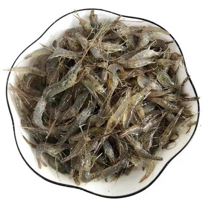 野生当季淡水小河虾鲜活批发商用