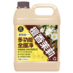 多功能清洁剂强力去污家政保洁专用瓷砖卫生间全屋大扫除垢清洗￥