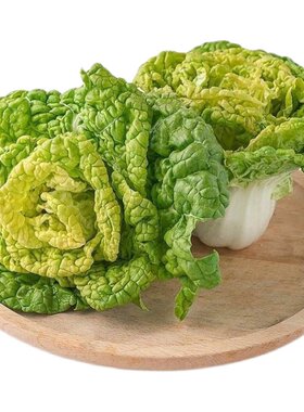 原装3千粒黄心乌菜种籽秋季耐寒黄心菜种子正宗淮南黄心乌塌菜