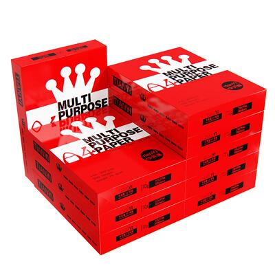 5箱25包a4纸打印纸整箱